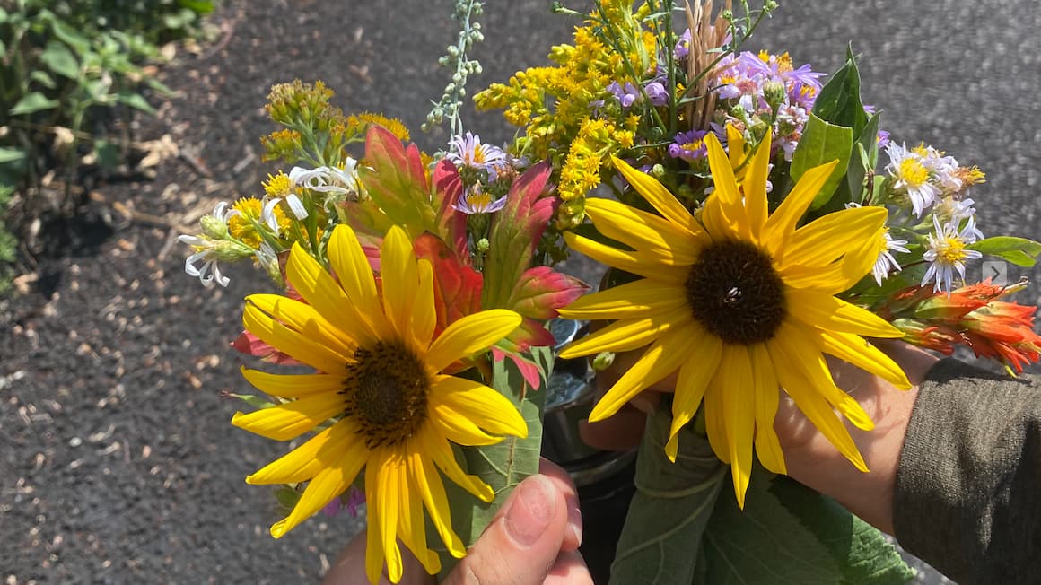 two wild flower bouquets including sunflowers in the mountains of park city, utah, usa 