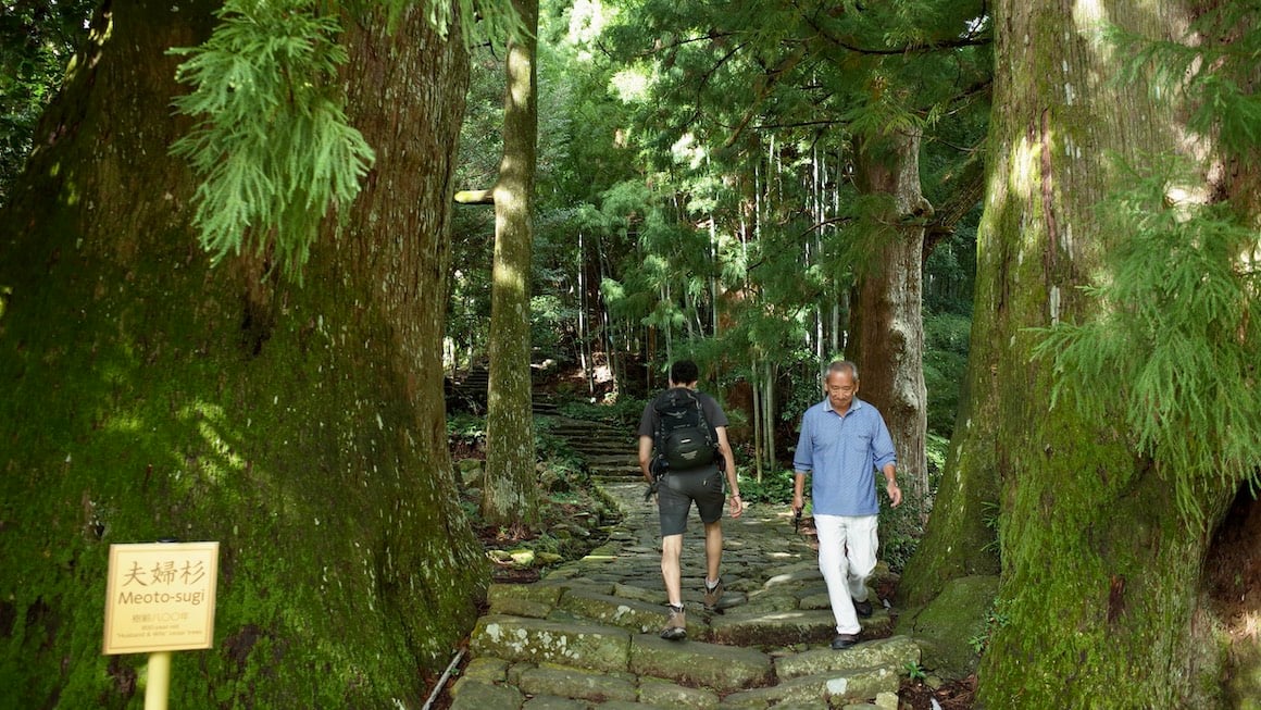 Friends take a walk through the mystical forests of Japan.