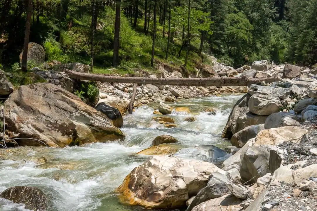 an emerald colored river flowing under a bridge made out of a fallen tree in kasol parvati valley india in himachal pradesh