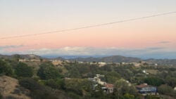 Is Los Angeles SAFE to Visit? (Insider Tips)