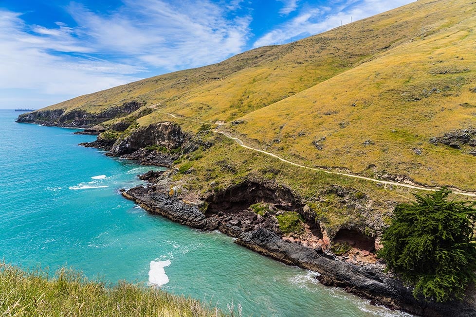 The cliffside walk of Taylors Mistake in Christchurch, New Zealand