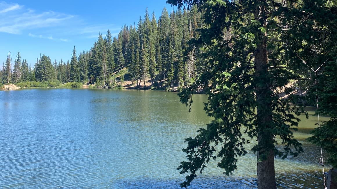 a lake in park city utah surrounded by tall pine trees 