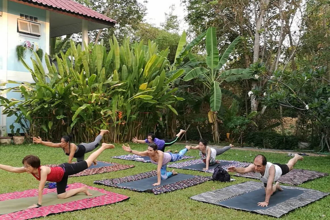 A group of people sitting on their yoga matt engaged in a yoga session in a lush backyard