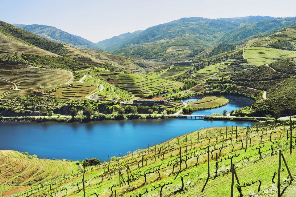 winery tours portugal - duoro valley