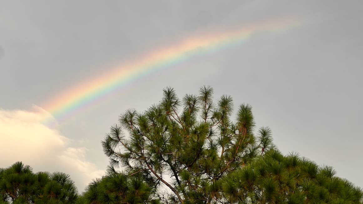 a rainbow in the sky after a rainy day