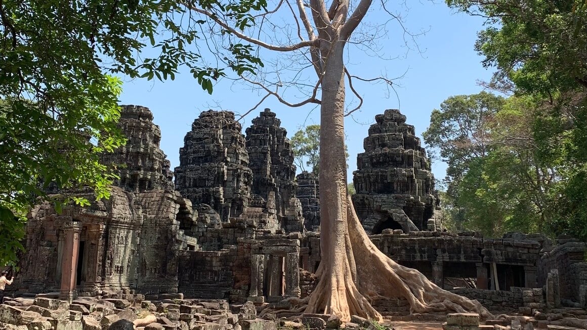 Angkor Wat, Cambodia overgrown trees in the temple