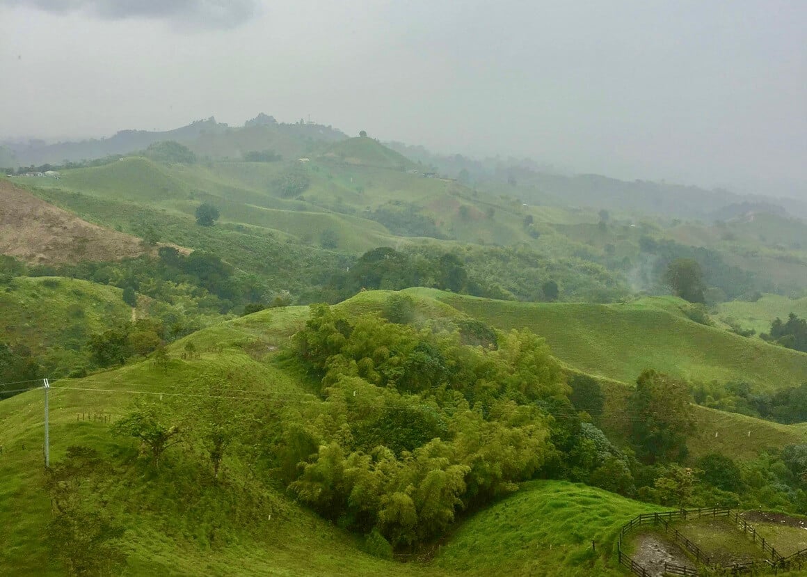 Green valley with trees in the Colombian coffee region.