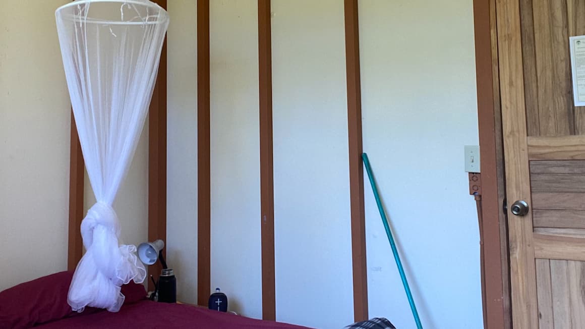 a mosquito net and a bed in a budget hostel in costa rica 