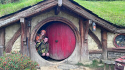 Full Guide to Gap Years in New Zealand