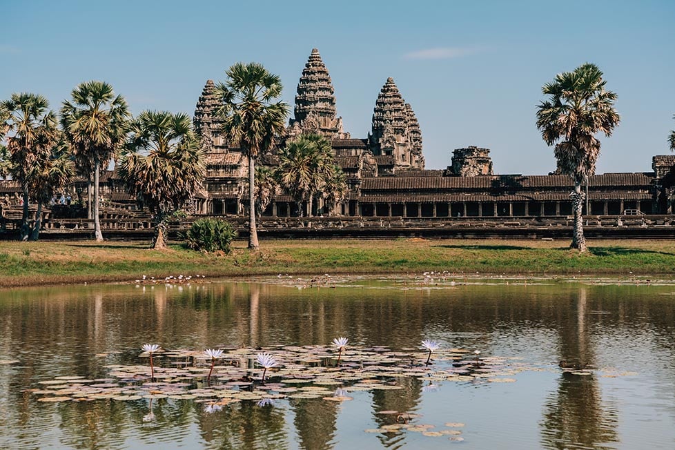 Angkor Wat temple as seen from one of the ponds, the temple is reflected in the water and there are purple water Lilly's flowering.