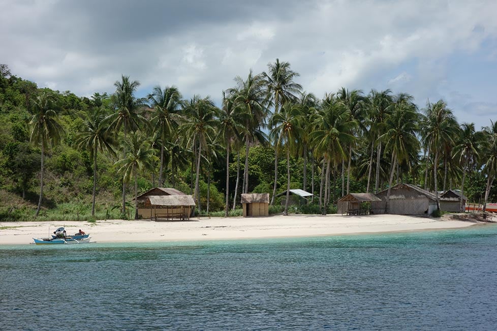 Beach huts surrounded by palm trees on an island in the Philippines.