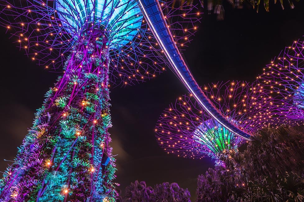 The sky trees of Gardens by the Bay lit up at night in green, blue and purple in Singapore.