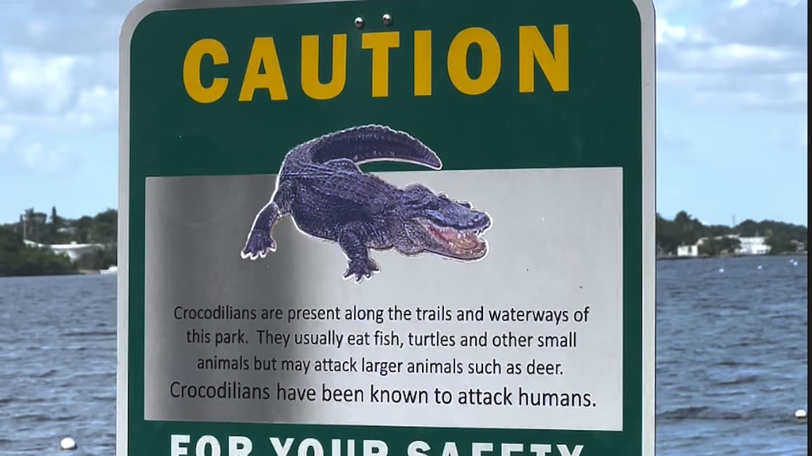 a caution sign to watch out for the crocodiles in the everglades of Florida, Usa 