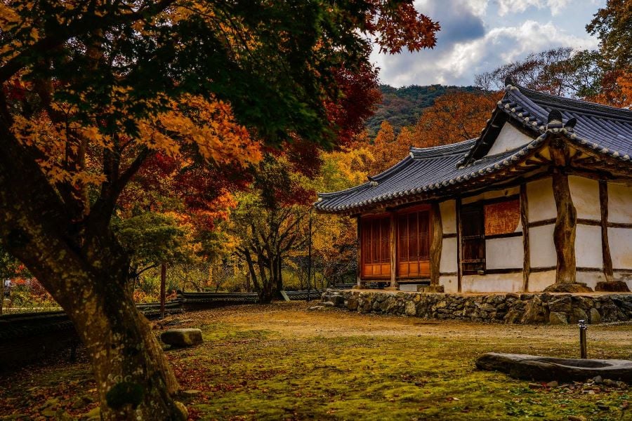 a traditional south korean home seen in autumn in a garden