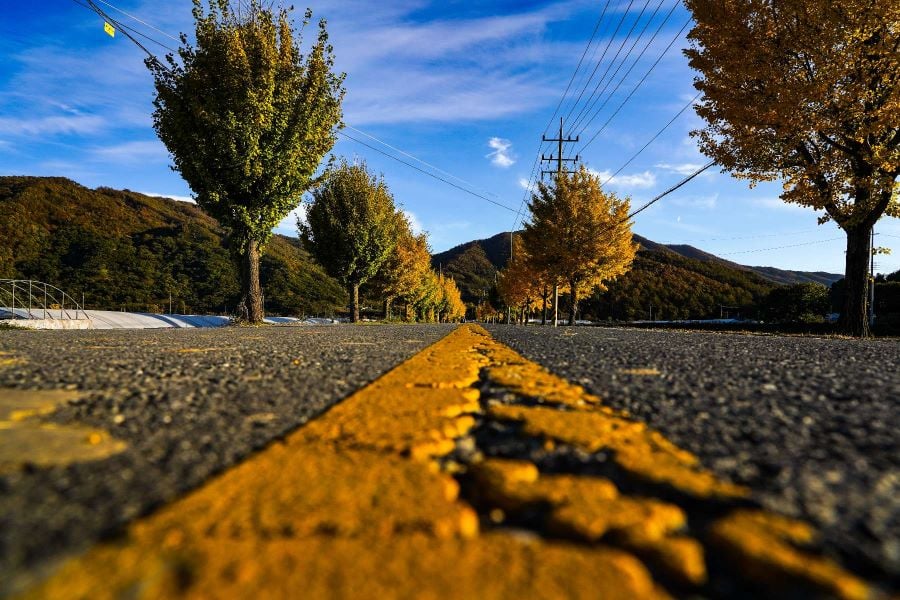 view of a paved road in south korea around fall time