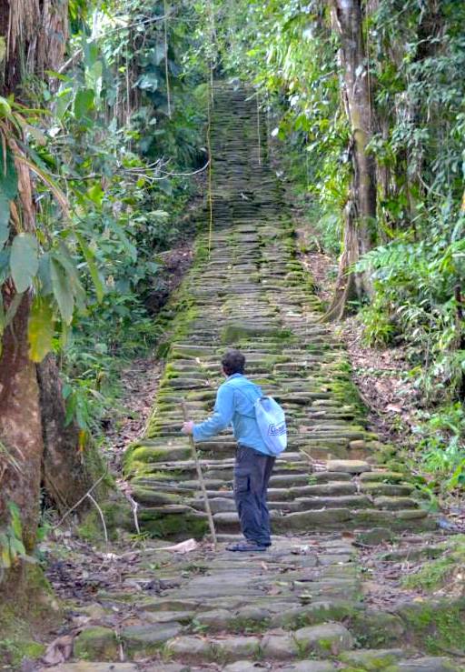 Stairs into the jungle on the famous lost city trek in Colombia.