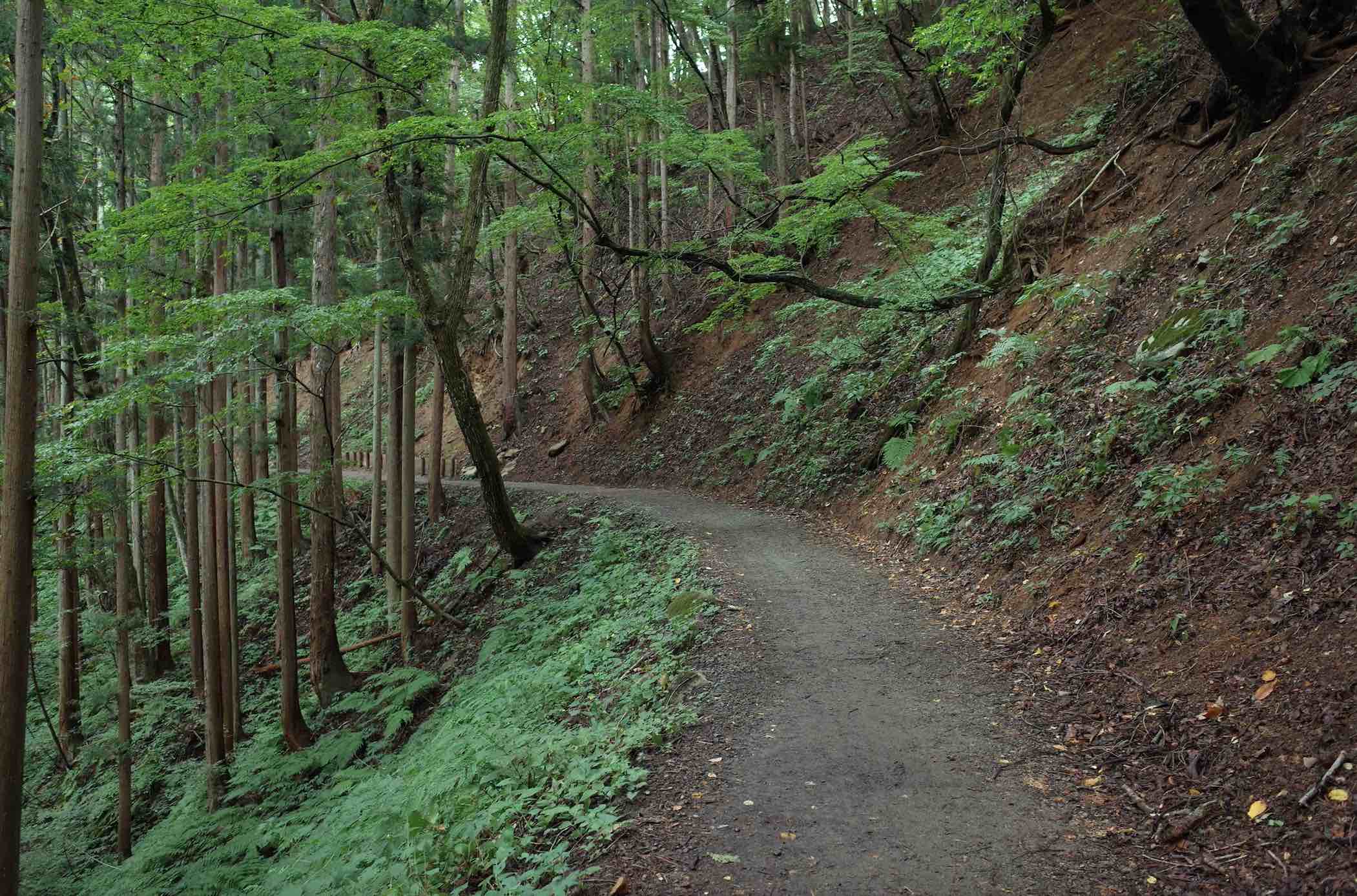 A beautiful hiking trail in Kyoto, Japan.