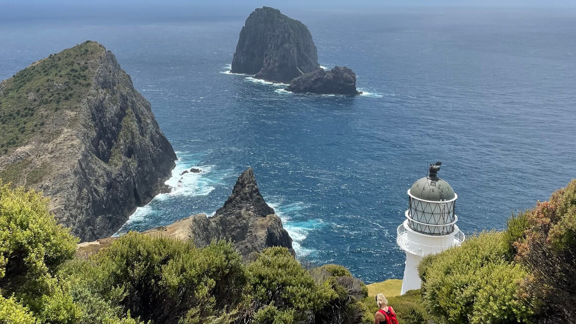 cape brett hike in the bay of islands, new zealand