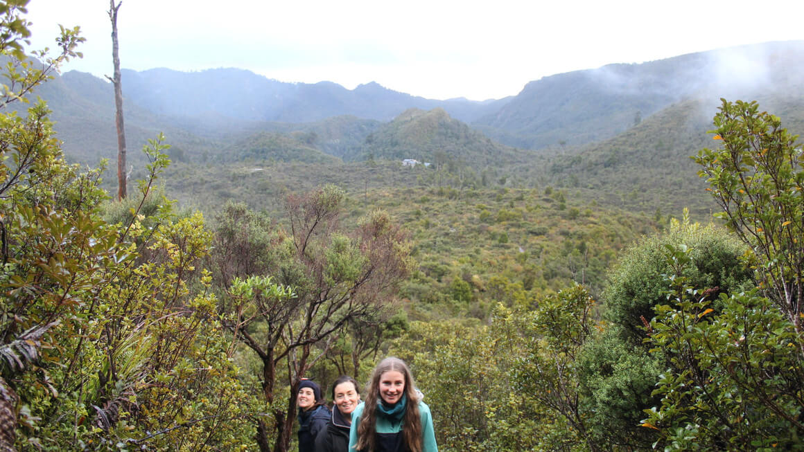 top of the pinnacles hike in the coromandel, new zealand on a cloudy day