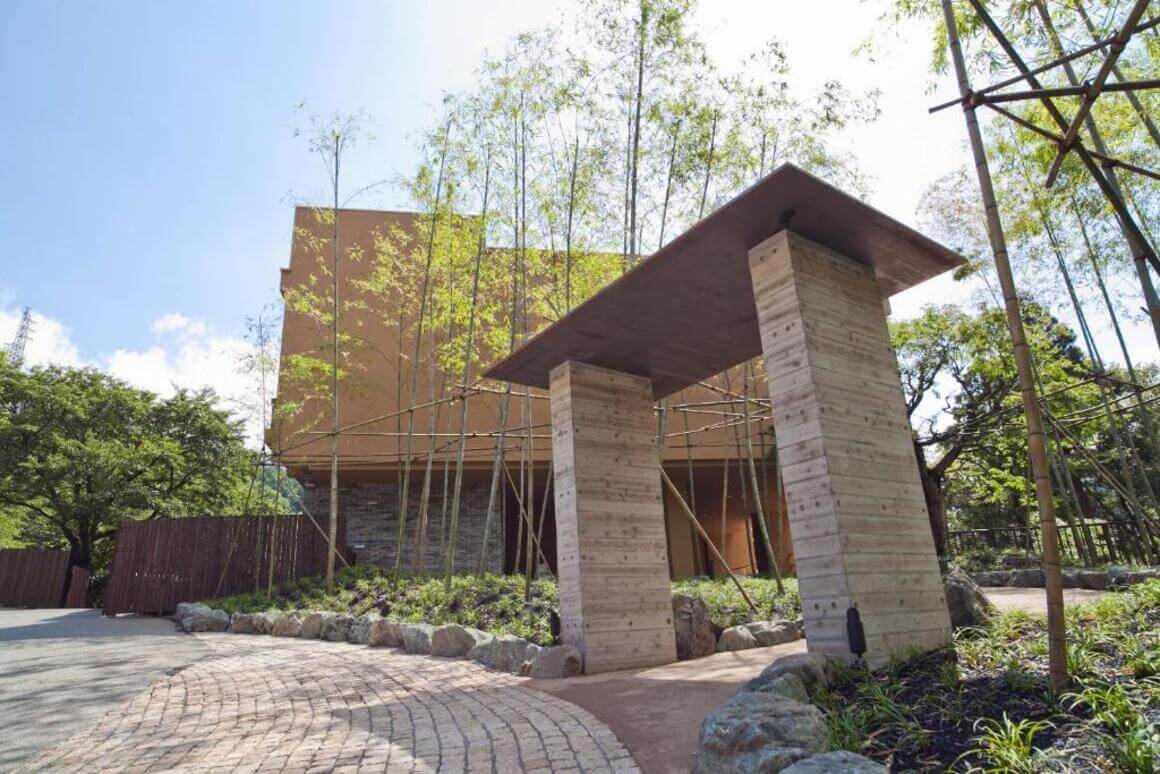 A brick path leads to a large building that's surrounded by bamboo trees