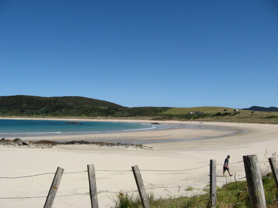 Maitai Bay beach and clear blue sky and rolling green hills.