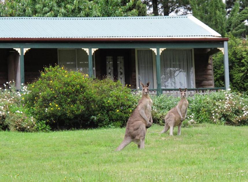 where to stay in the Blue Mountains