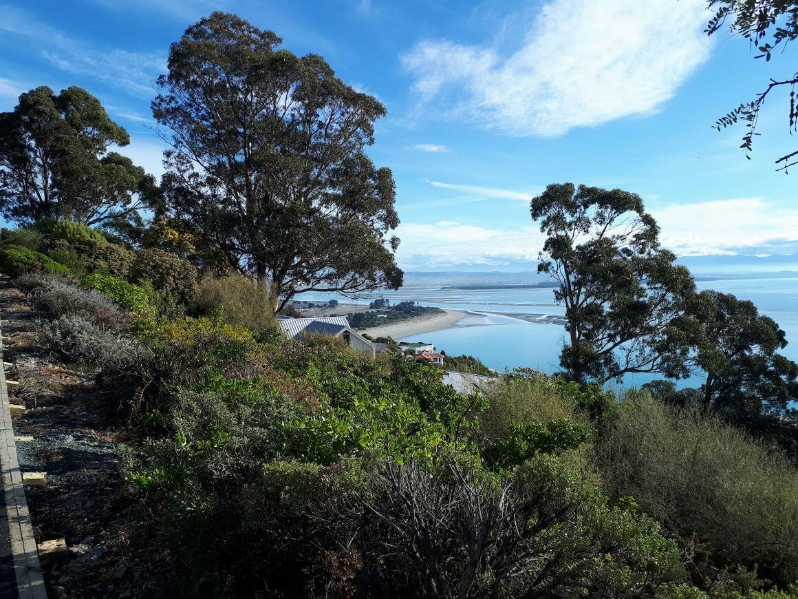 A view of the Tahunanui Beach from a hillside with trees and bushes surrounding it. 