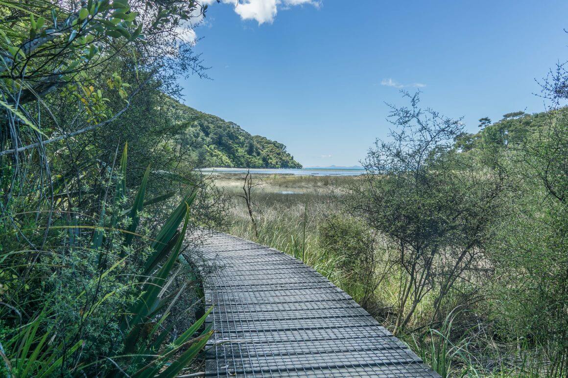 A wooden boardwalk surrounded by lush greenery leading to a golden sand beach in Abel Tasman National Park, New Zealand