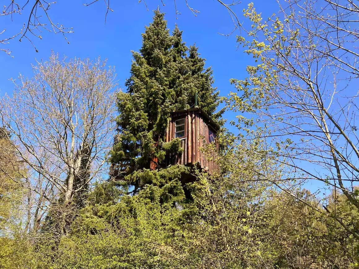 Tiny Home in the Trees