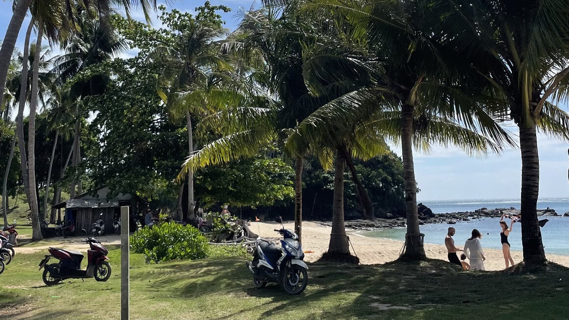 view of palm trees, bikes and the beach at beautiful beach, koh lanta, thailand
