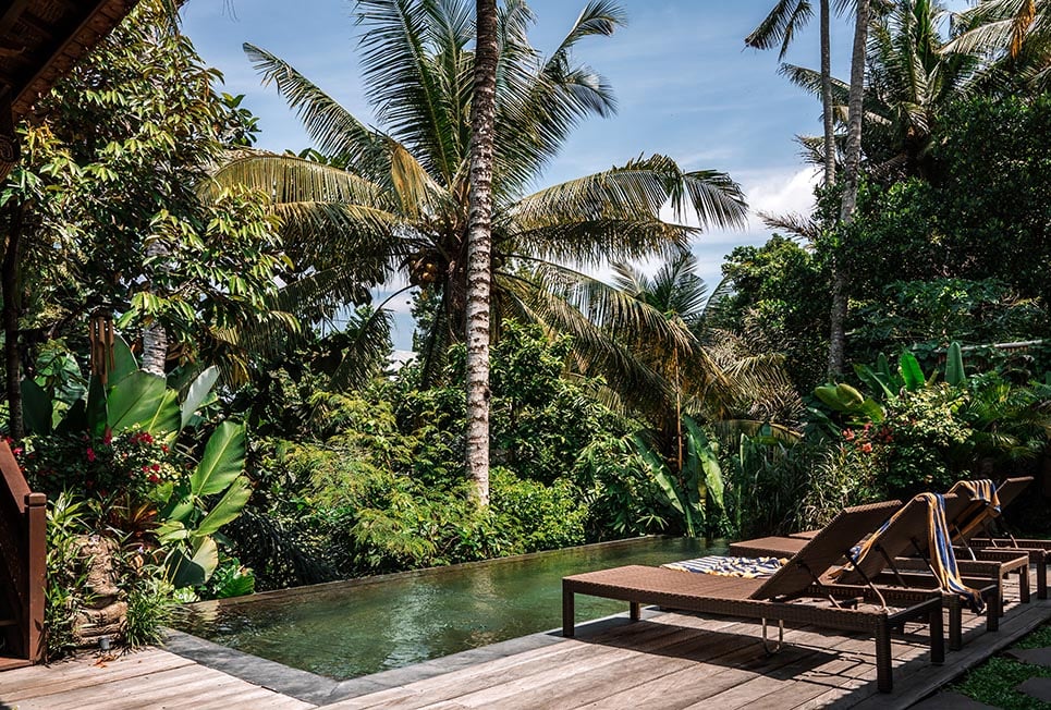 A wooden deck with chairs and a swimming pool surrounded by palm trees.