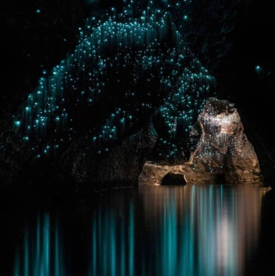 Glow worms in the Waitomo Caves, Auckland, New Zealand