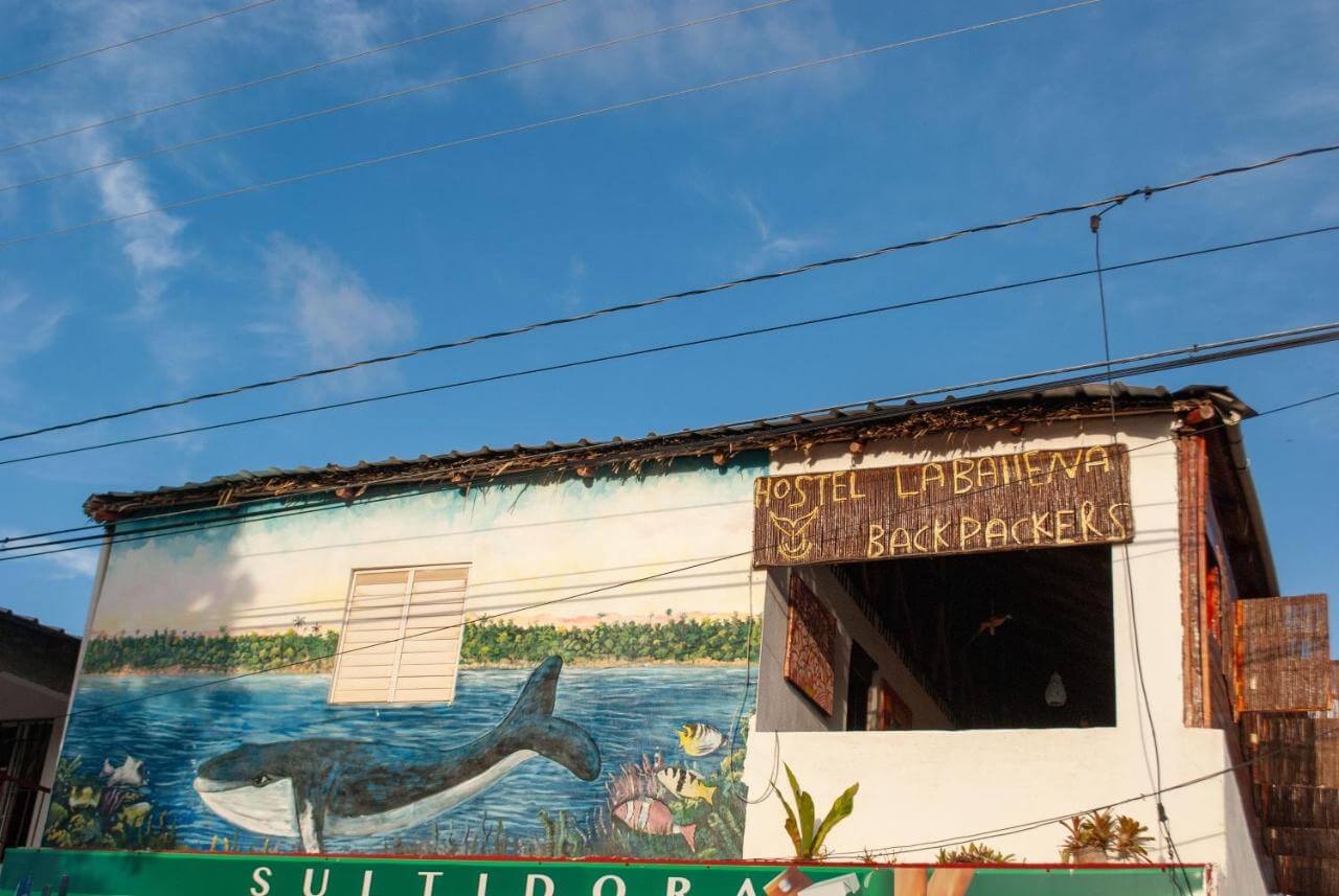 Hostel La Ballena Dominican Republic