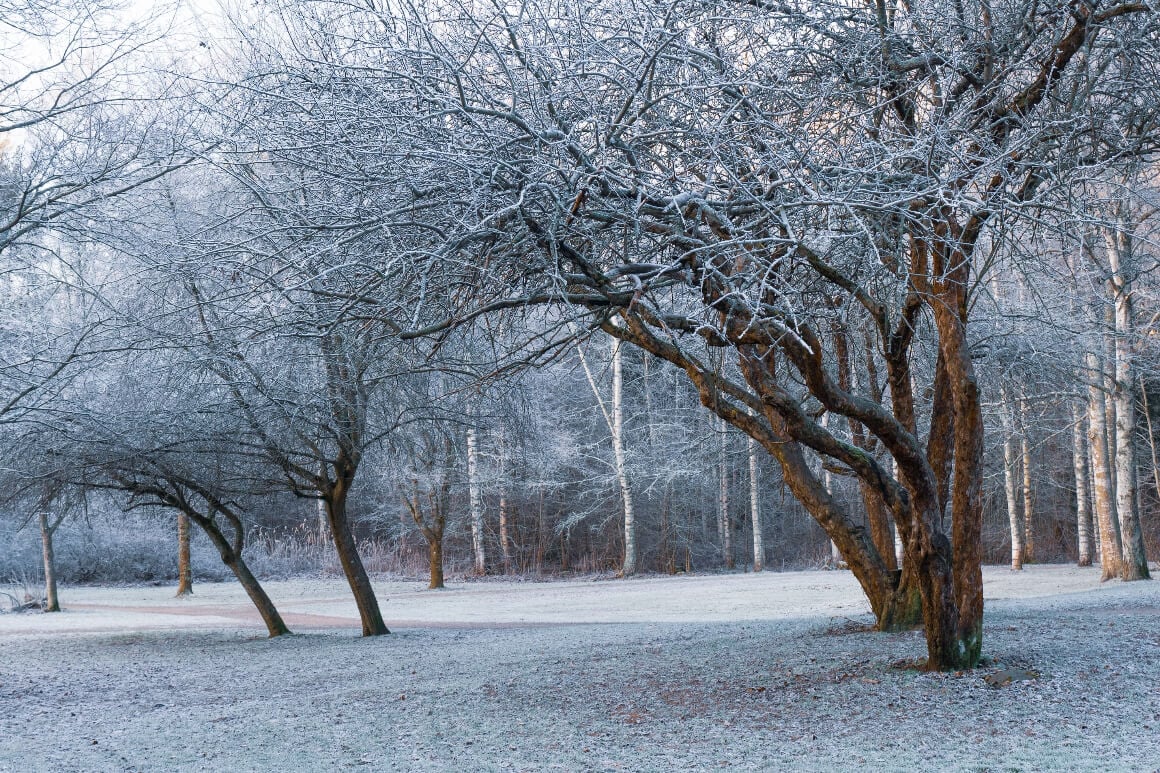 a frosty morning in a central park in helsinki