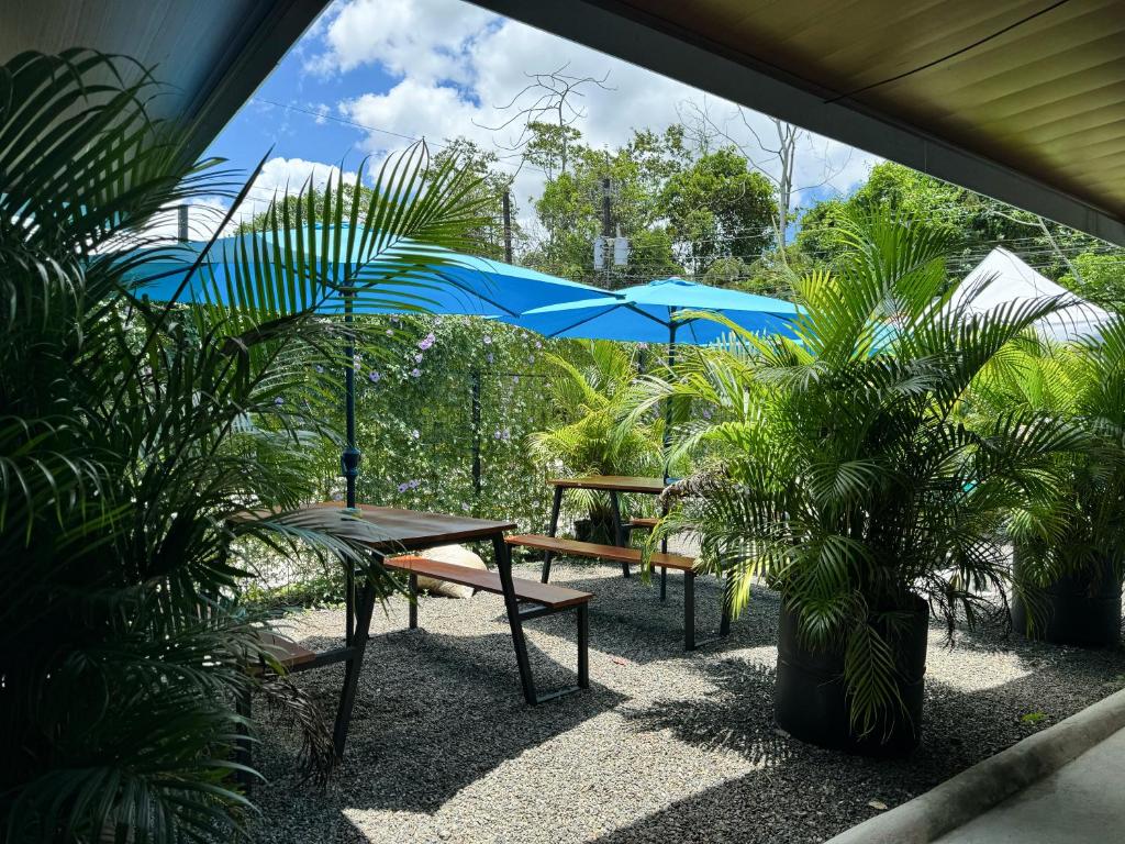Pura Vibra Hostel La Fortuna Costa Rica