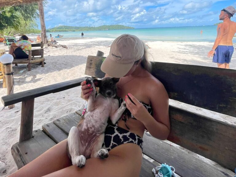 Where to Stay in Koh Rong (Best Places)