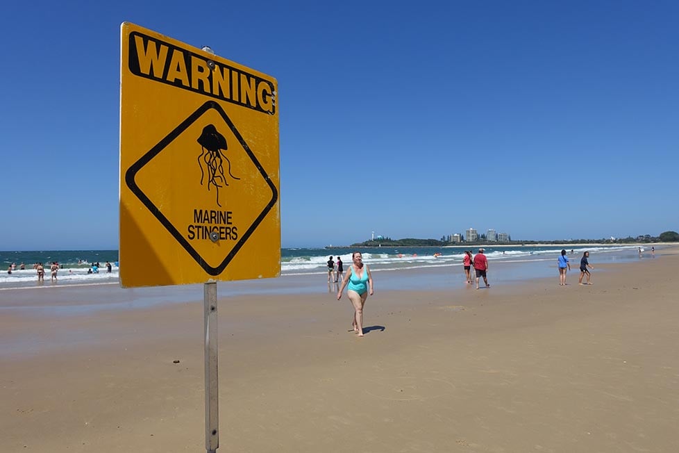 A jellyfish warning sign on a beach in Queensland, Australia