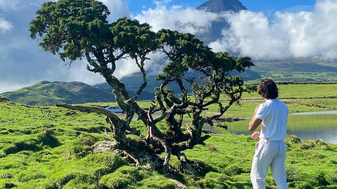 a guy facing the green lush scenery, on pico island, the azores 