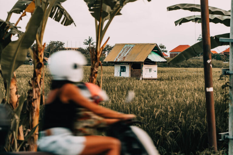 BALI Itinerary • EVERYTHING You Need To Know
