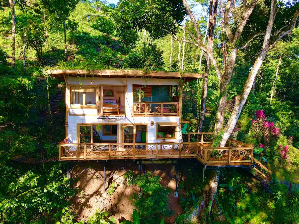 Jungle Treehouse