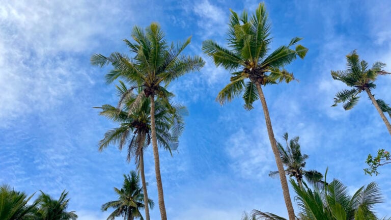 Where to Stay in Batam (Best Places)