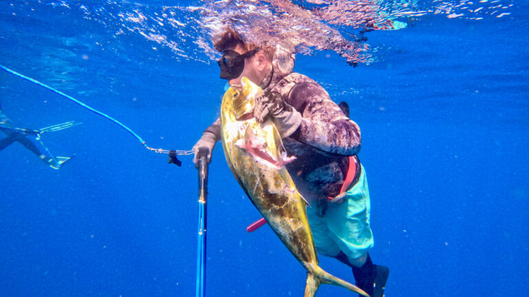 Spearfishing in Bali • A COMPLETE Guide