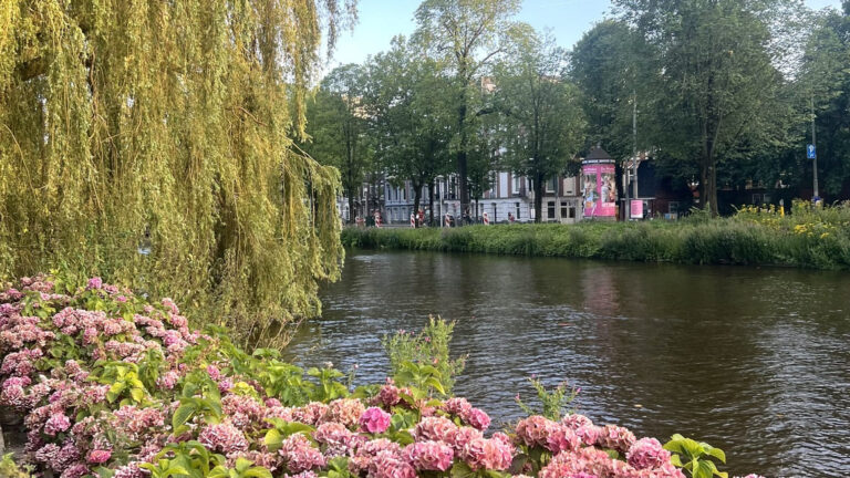 Best Hostels in The Netherlands | 16 AMAZING Places to Stay