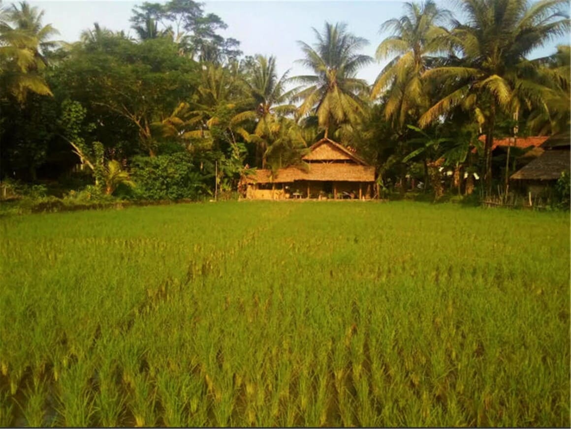 De Jarwo House Batukaras Indonesia