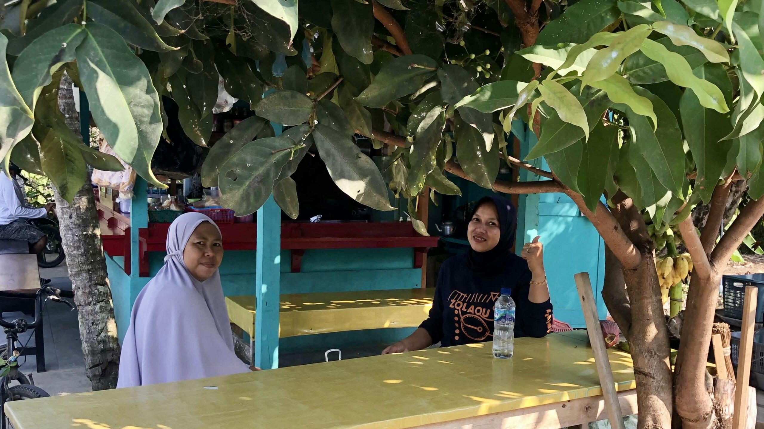 Two wanita (women) having a break under the shade of the trees at Ma Engkar Warung, Batukaras, West Java, Indonesia