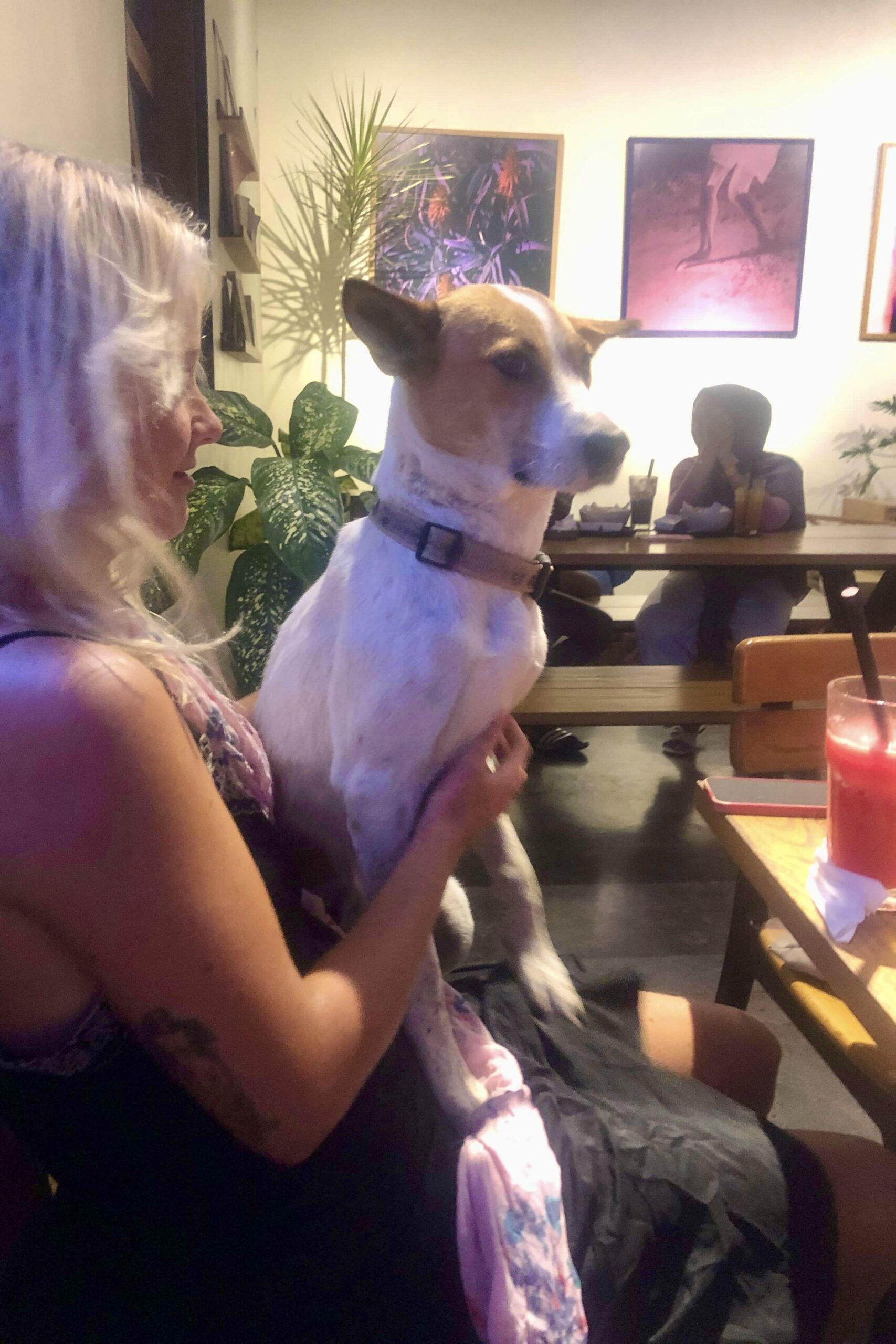 A girl holding a dog waiting for dinner with a cocktail drink in West Java, Indonesia