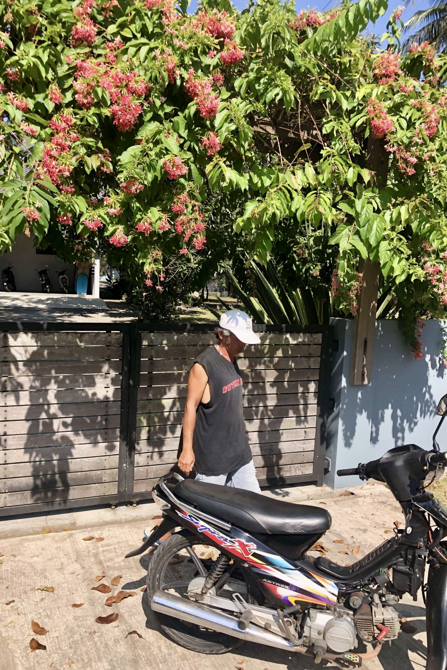 Man and Motorbike outside villa covered in flowers in Batukaras west Java Indonesia