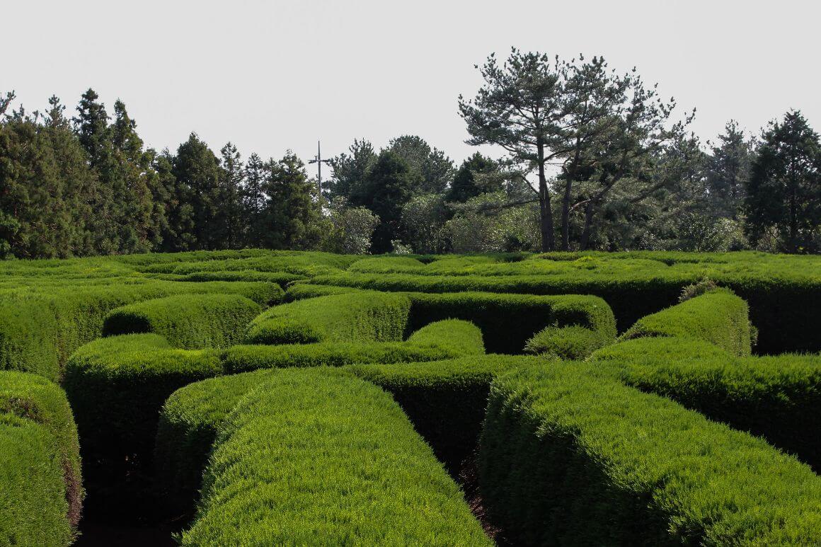 Jeju Gimnyeong Maze Park