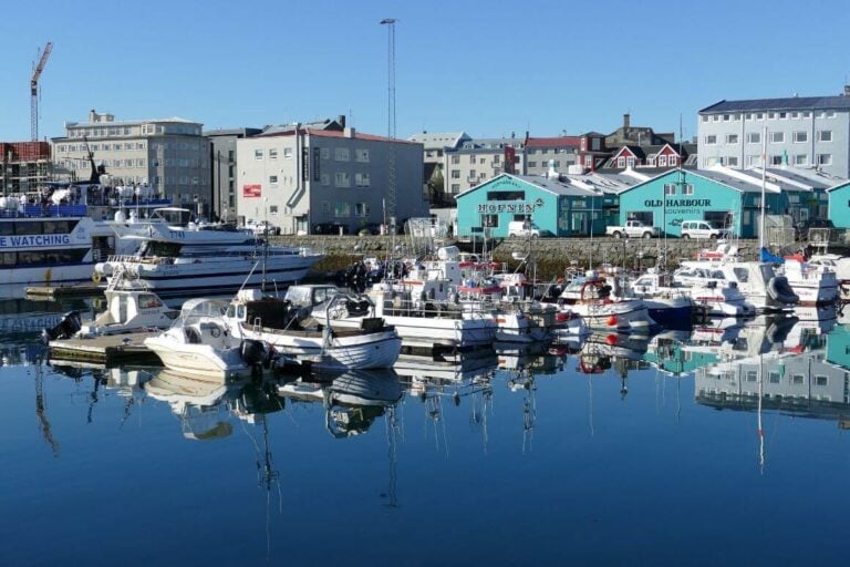 15 of the Best Airbnbs in Reykjavik: My Top Picks