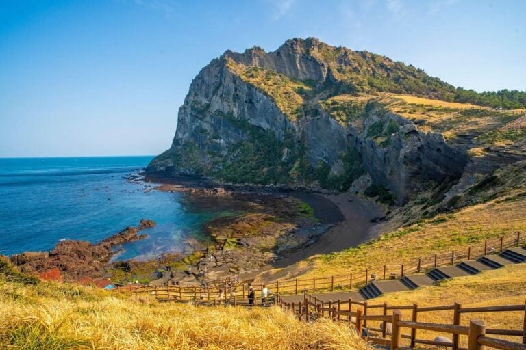 The 5 Best Hostels in Jeju Island